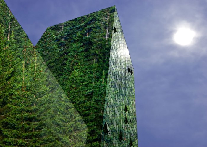 Sustainable construction practices for eco-friendly buildings